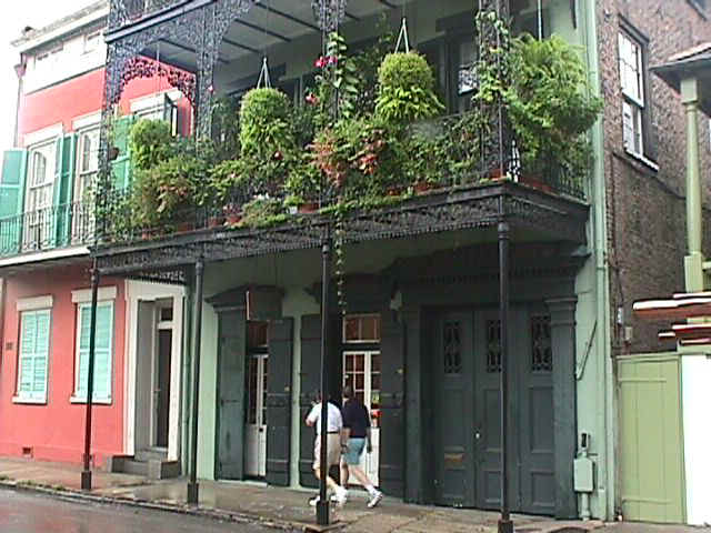 Plants on Balcony.jpg (76631 bytes)